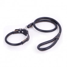 Pet Black Cowhide Super Pulling Force Collar And Traction Rope Set