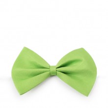 Solid Green Pet Bow Tie